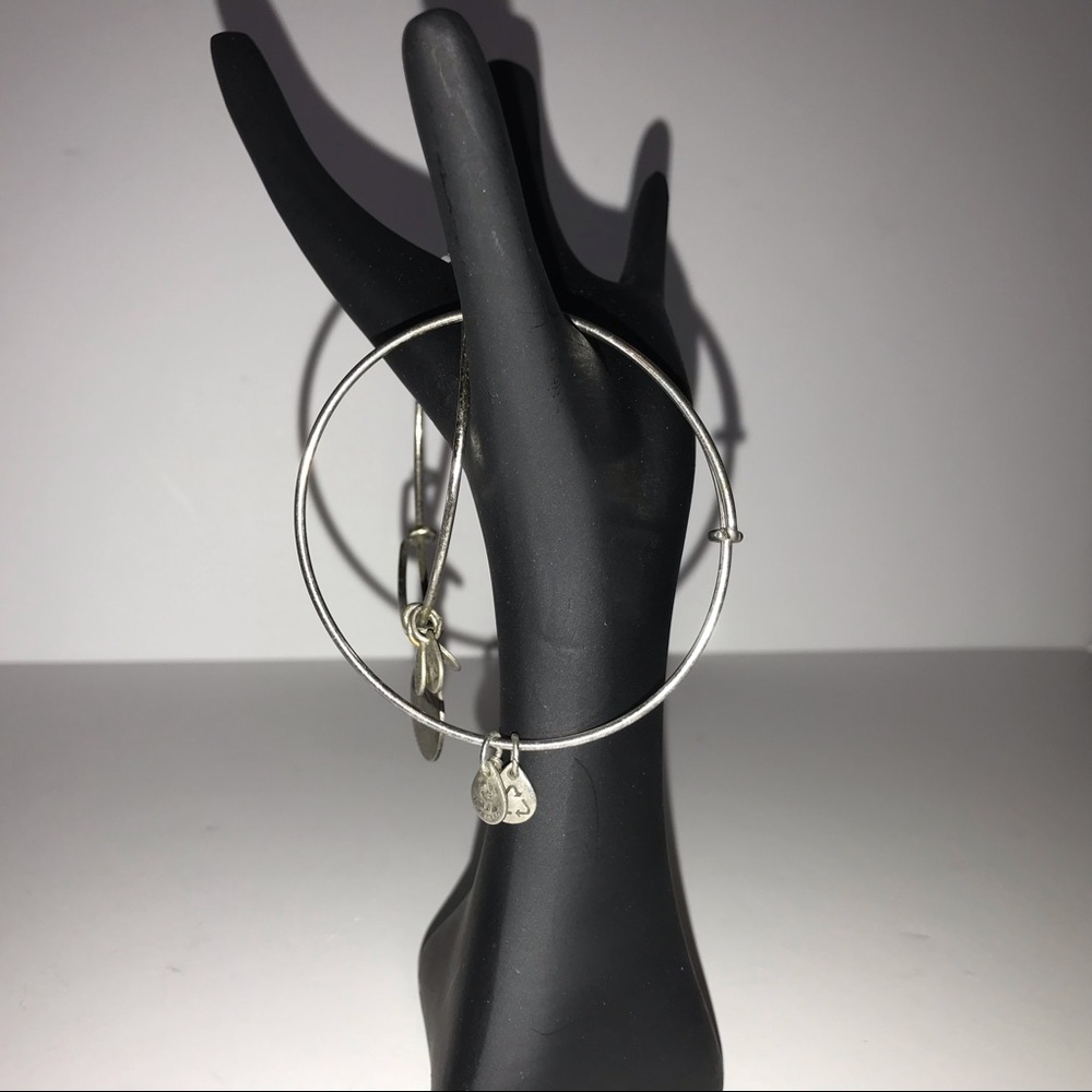 Alex and Ani set of two bangles bracelets